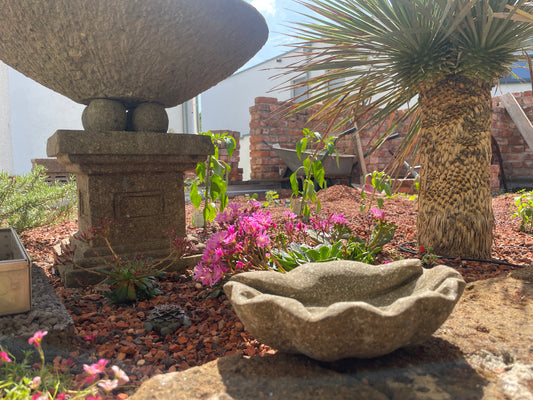 Muschel klein aus Naturstein