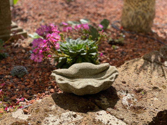 Muschel klein aus Naturstein