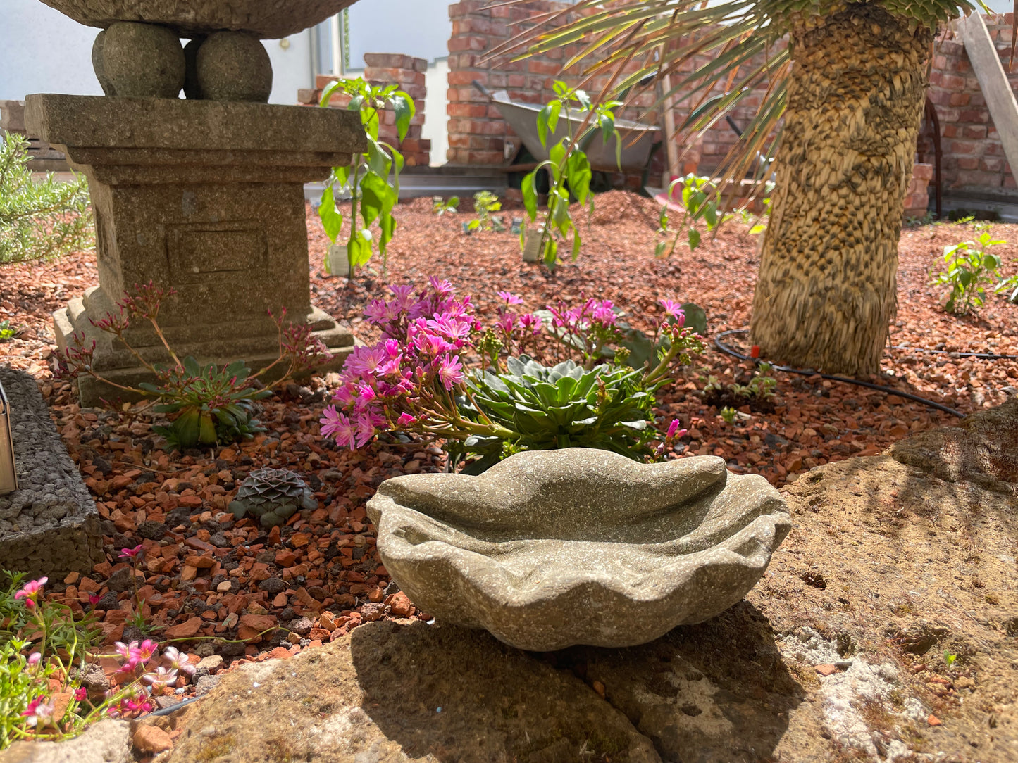 Muschel klein aus Naturstein