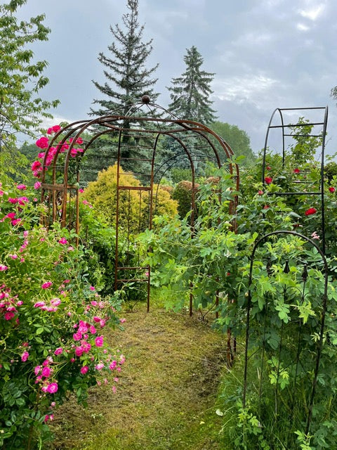 Rosenpavillon classic