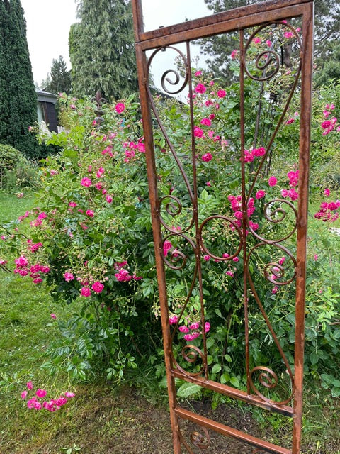 Rosenpavillon classic