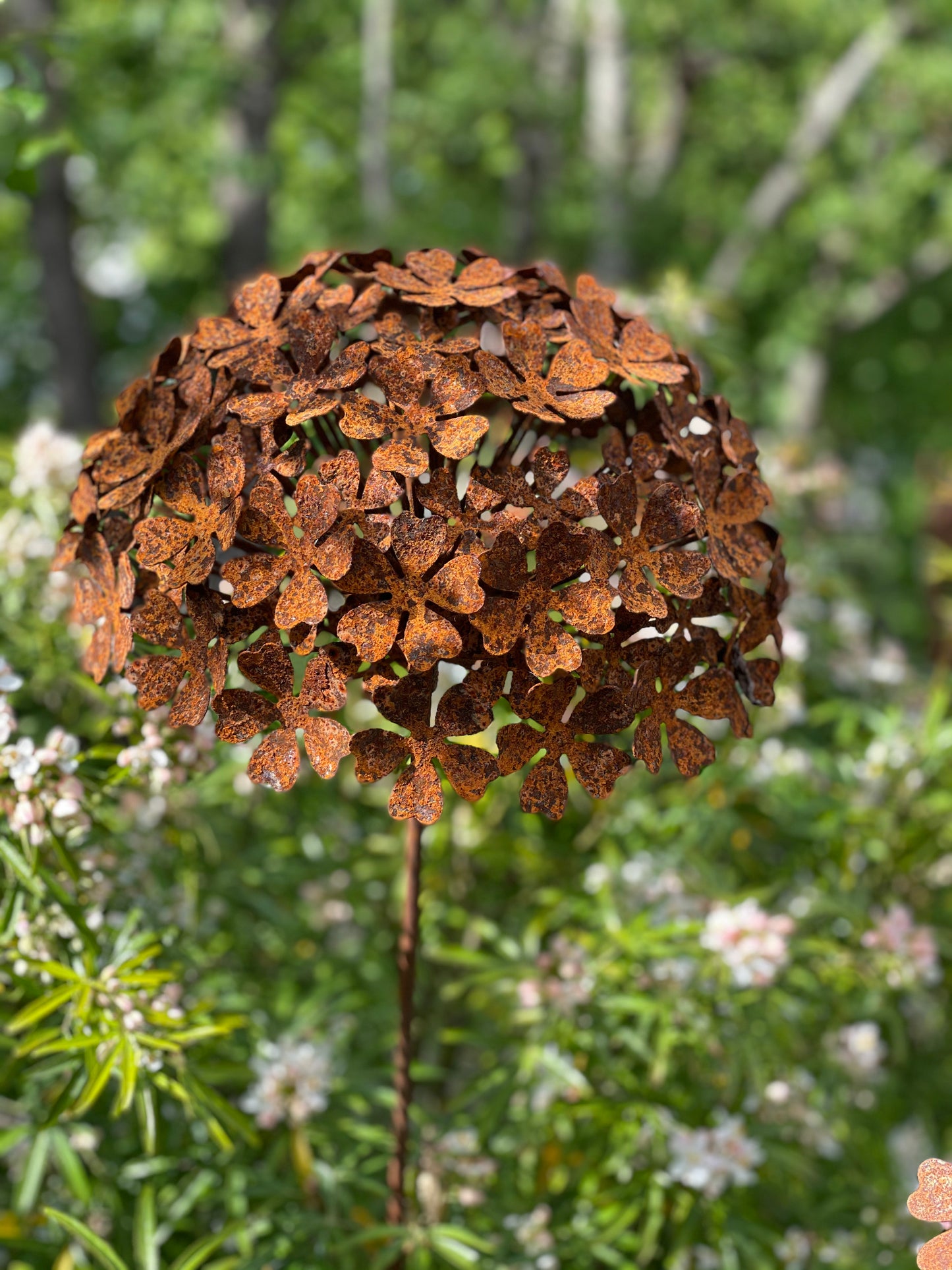 Hydrangea (mittlere Größe)