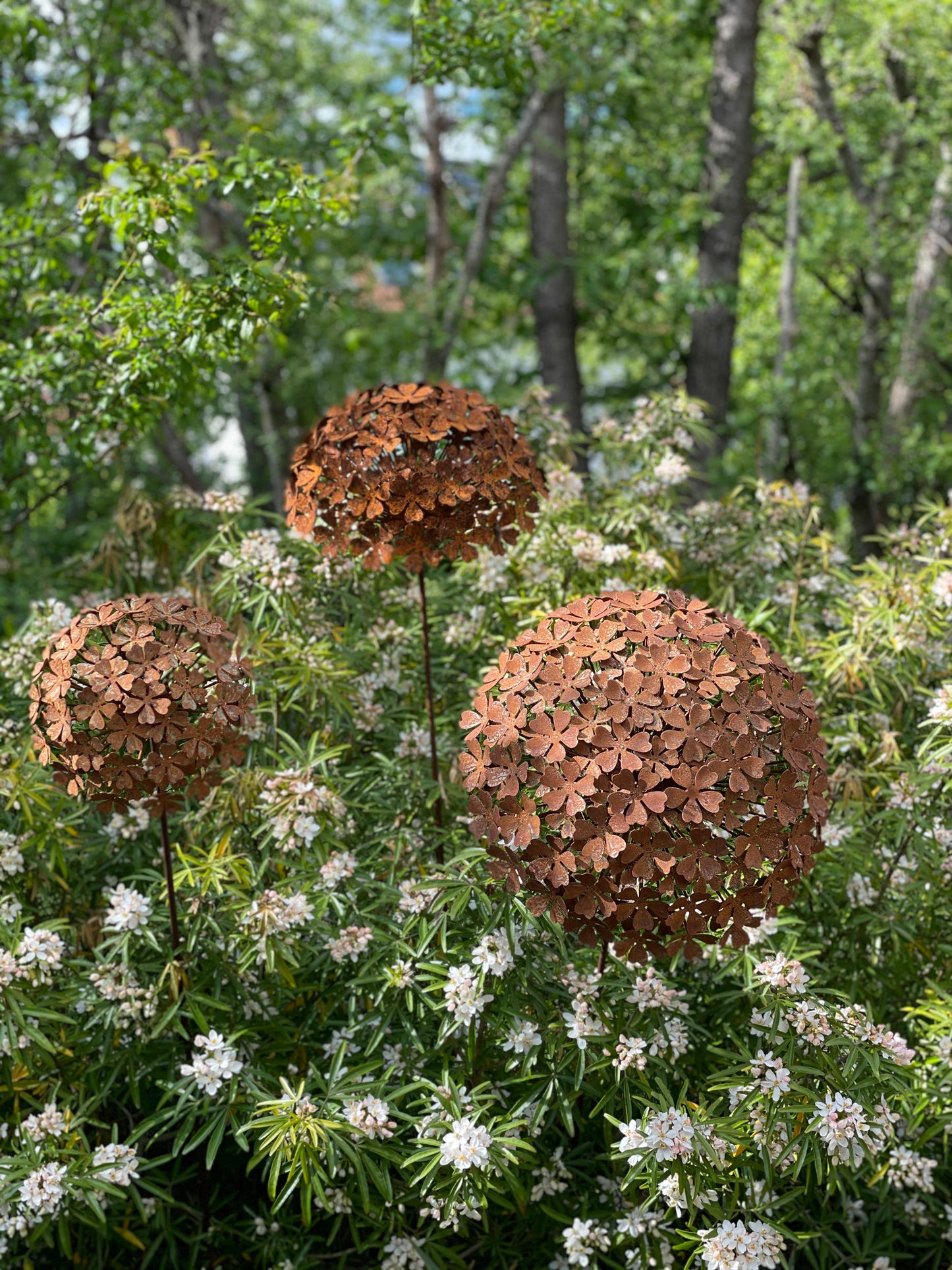 Hydrangea (mittlere Größe)