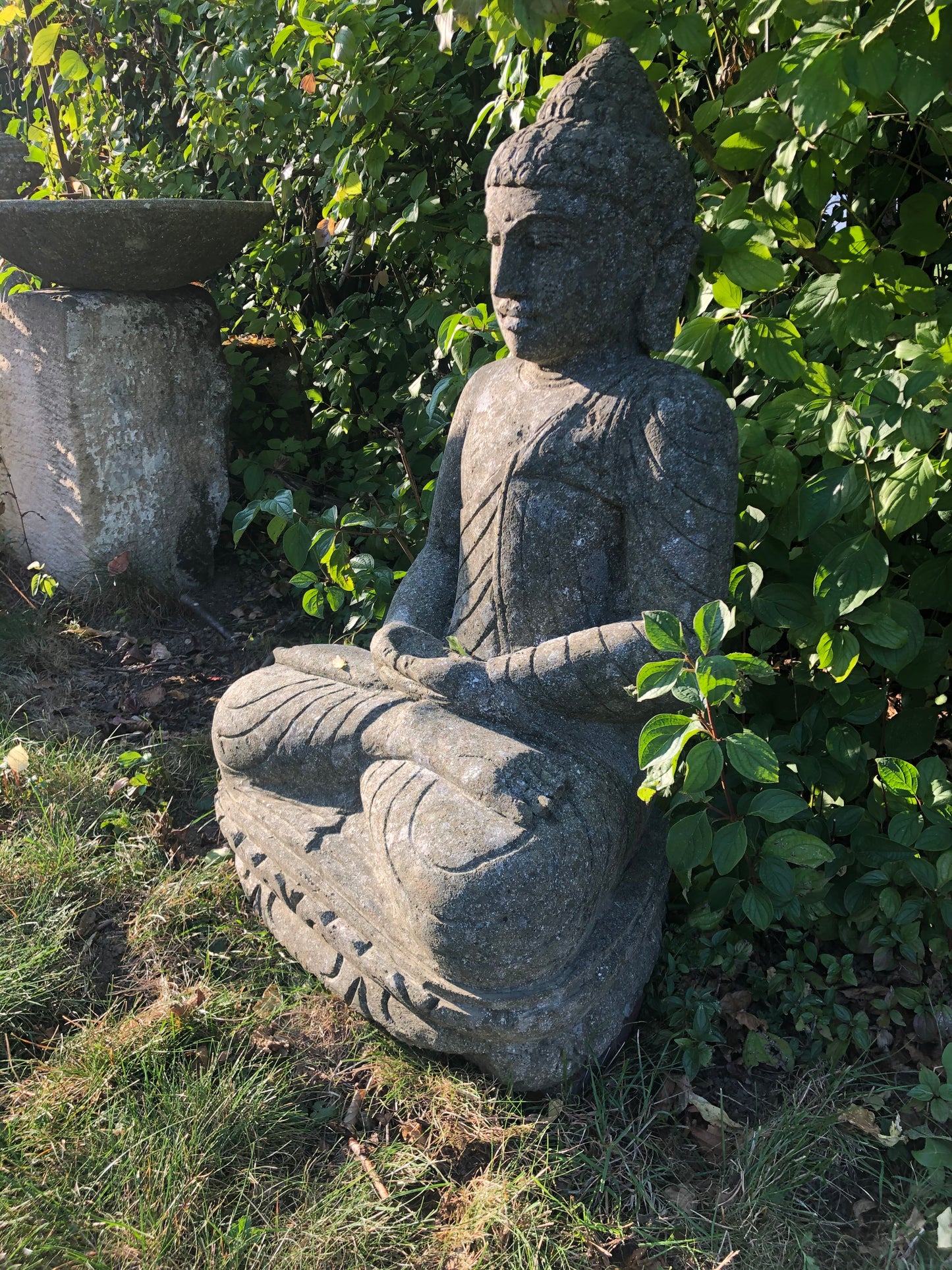 Buddha Basanit Meditation