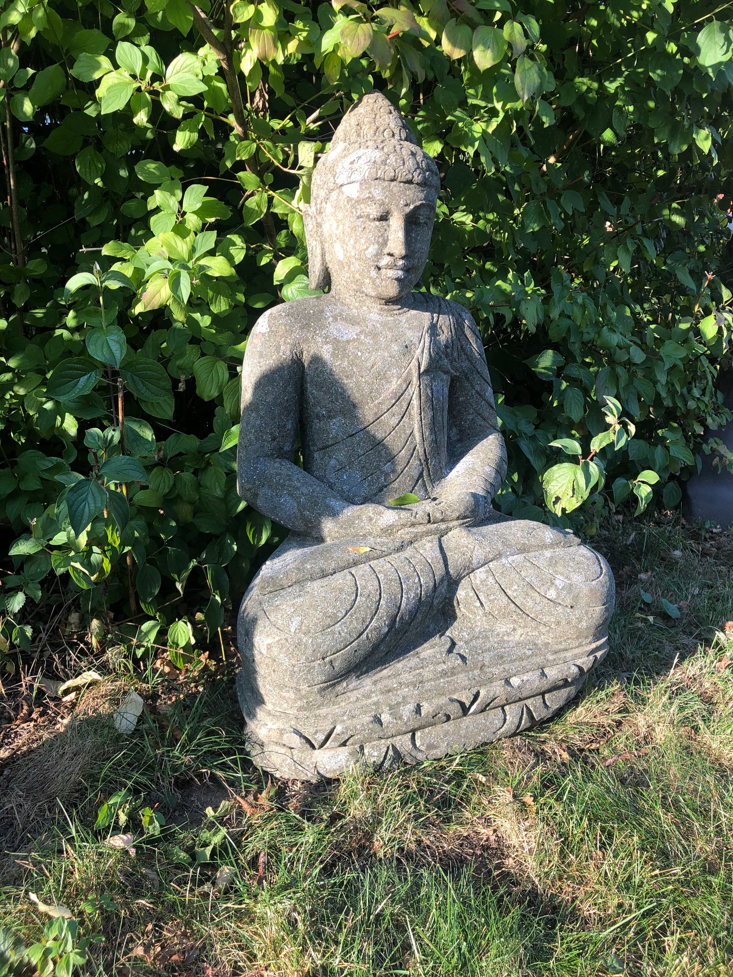 Buddha Basanit Meditation