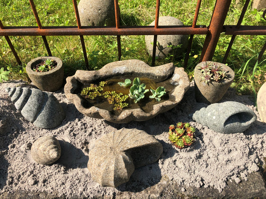Muschel, Steinschale, Pflanzgefäß, Vogeltränke
