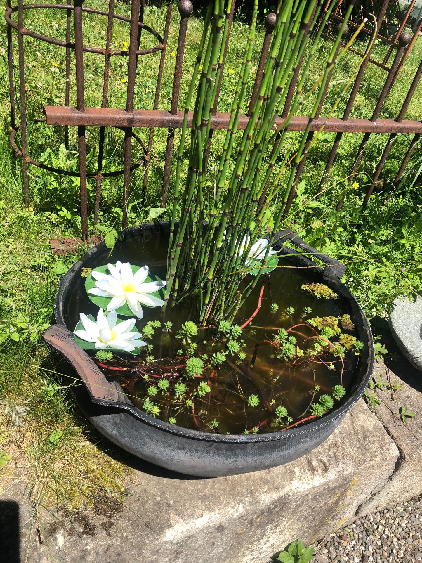 Miniteich aus recyceltem Reifen