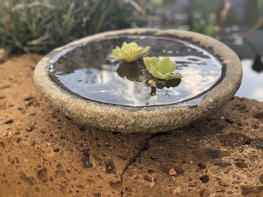 Wasserschale Basanit Naturstein, 30 cm