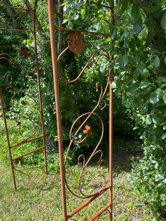 Rosenbogen, edelrost