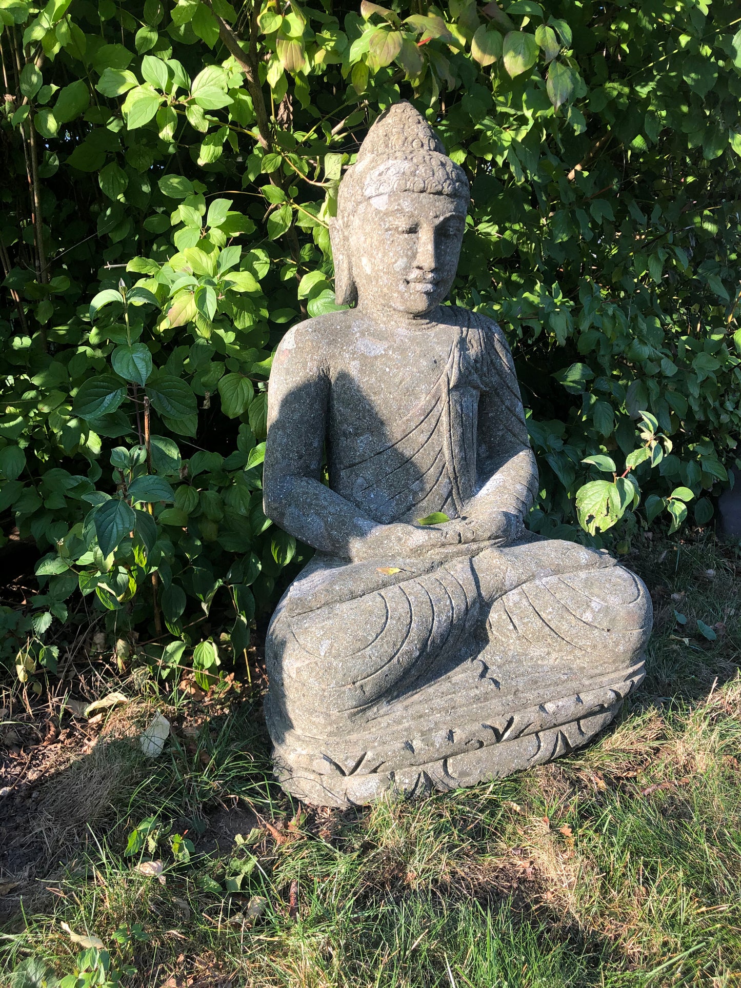 Buddha Basanit Meditation