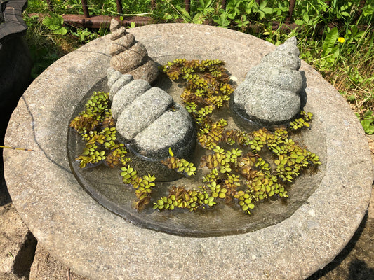 Wasserschale Basanit Naturstein, 50 cm