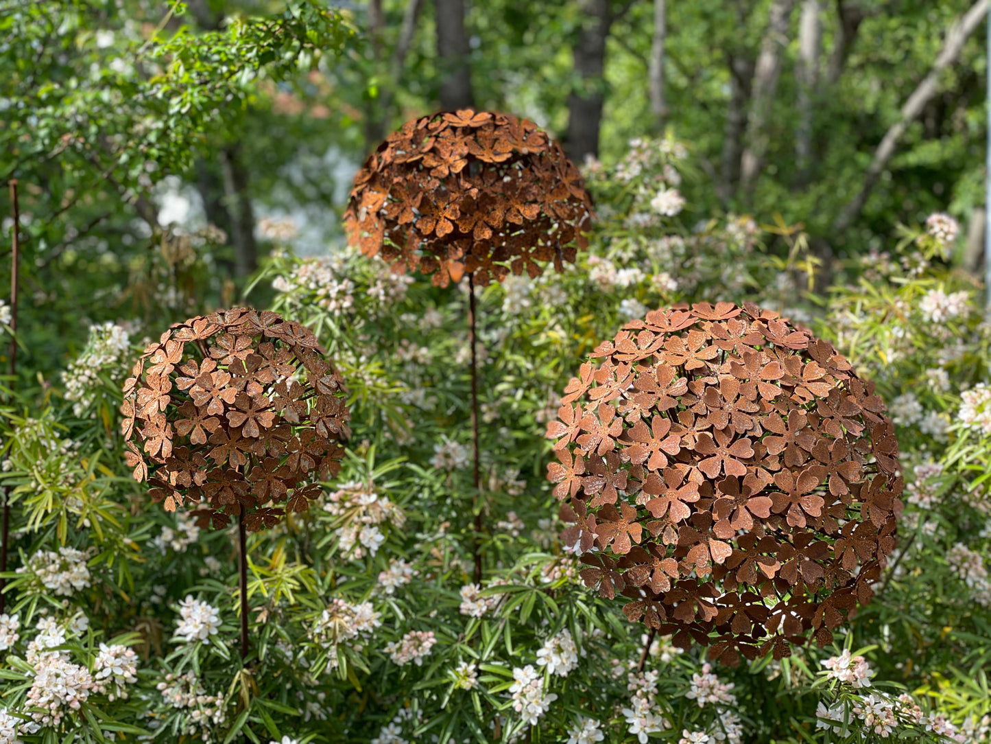 Hydrangea (mittlere Größe)