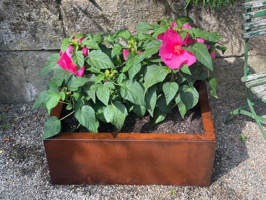 Pflanzgefäß - Behälter aus Cortenstahl