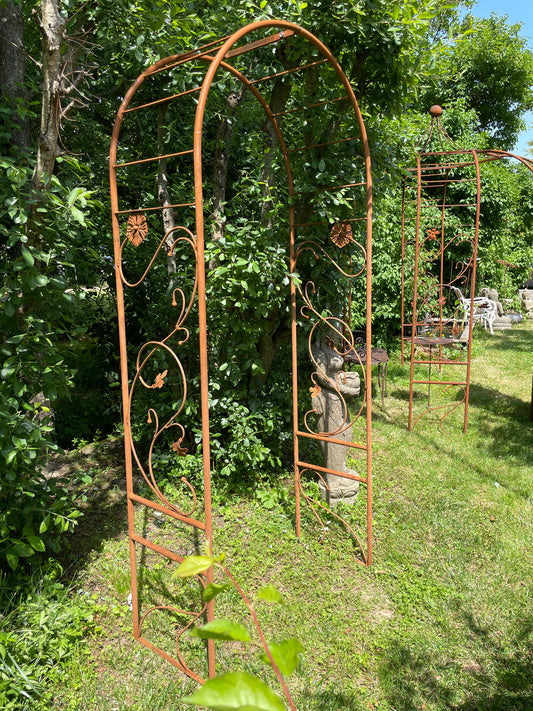 Rosenbogen, edelrost