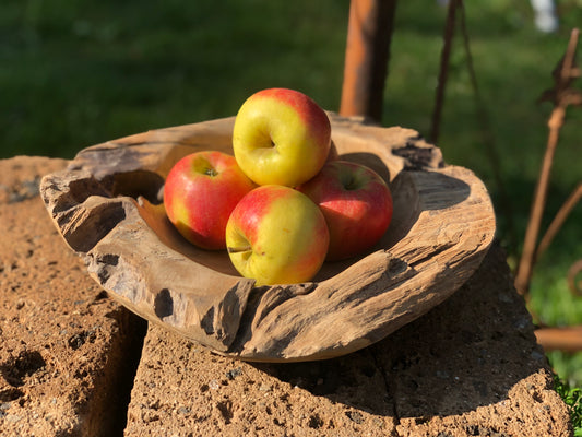 Holzschale aus Teakholz