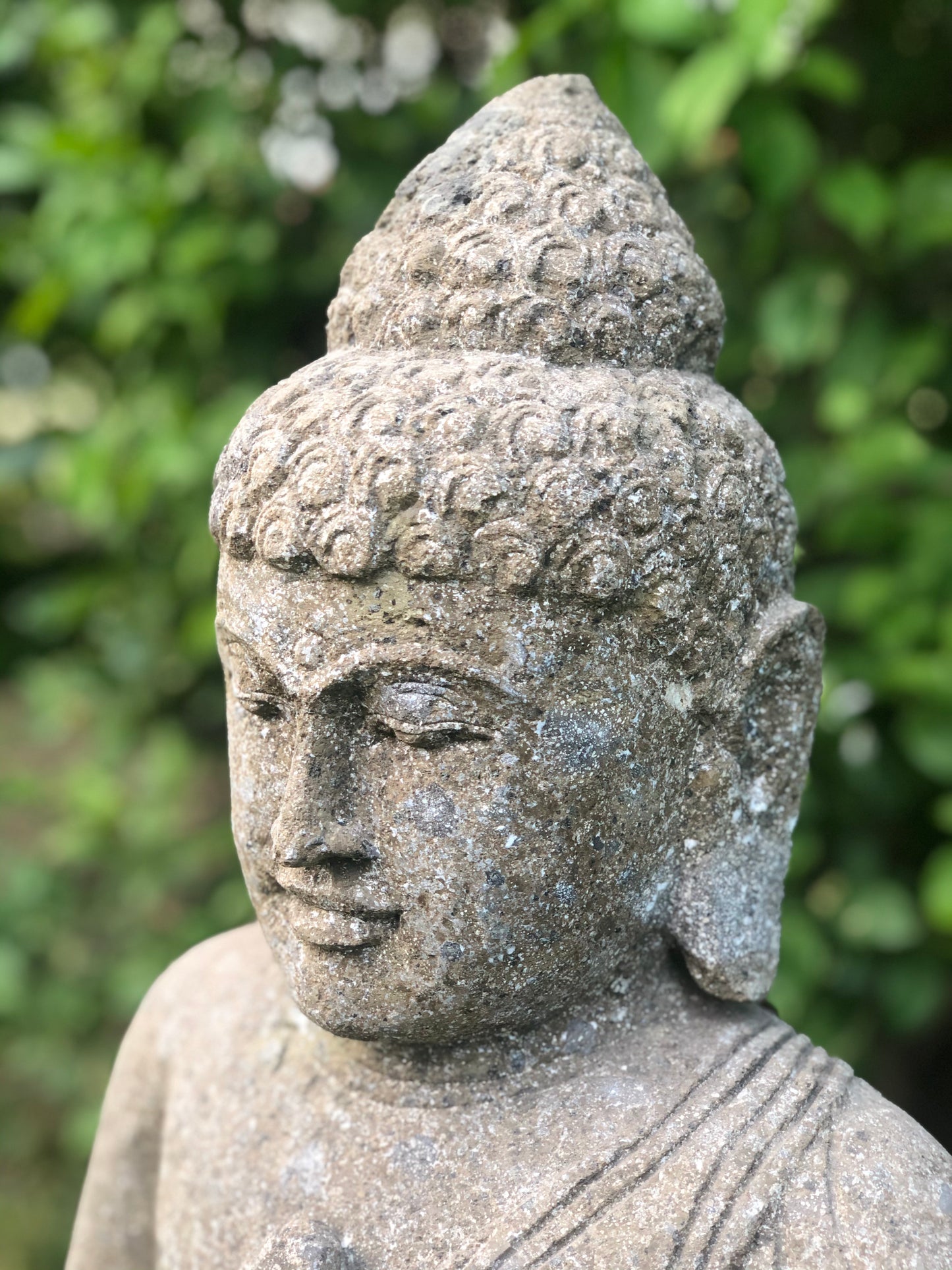 Buddha Basanit Rad der Lehre