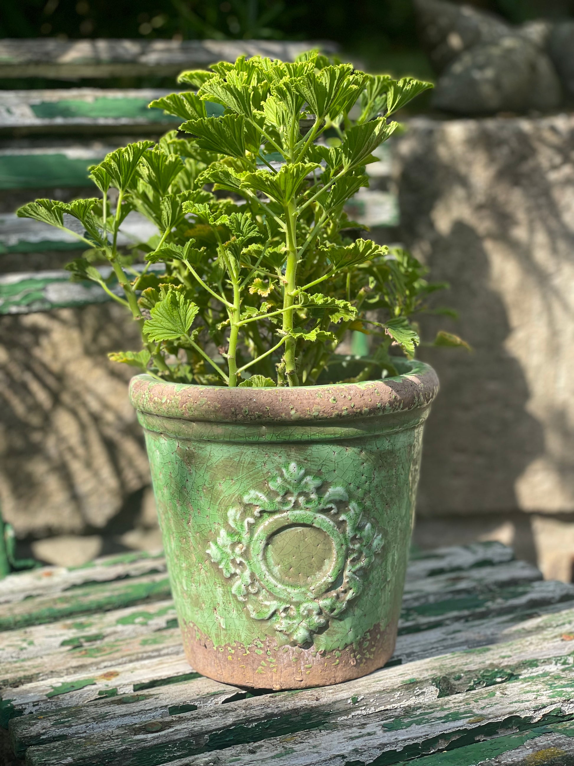 Übertopf groß – Haus & Garten Interieur Exterieur, Galla
